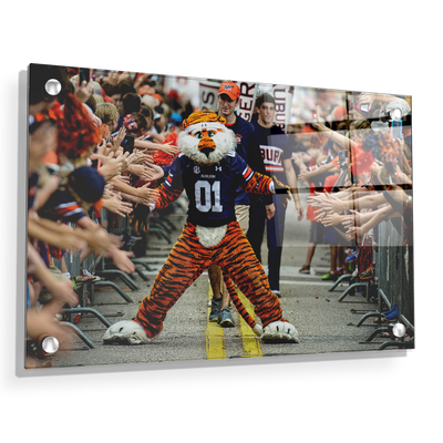 Auburn Tigers - Aubie at the Tiger Walk - College Wall Art #Acrylic