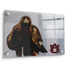 Auburn Tigers - War Eagle - College Wall Art#Acrylic