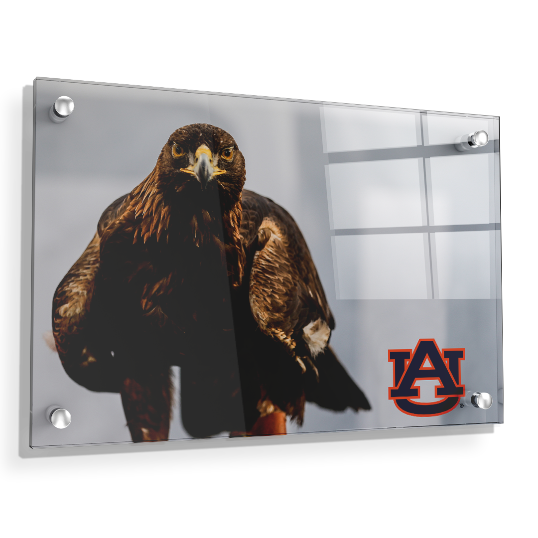Auburn Tigers - War Eagle - College Wall Art#Canvas