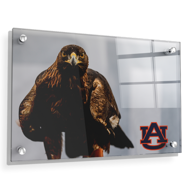 Auburn Tigers - War Eagle - College Wall Art#Acrylic