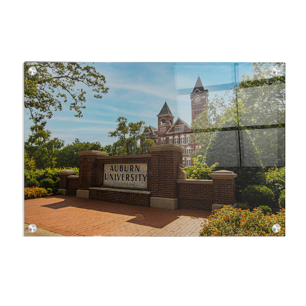 Auburn Tigers - Auburn University - College Wall Art #Canvas