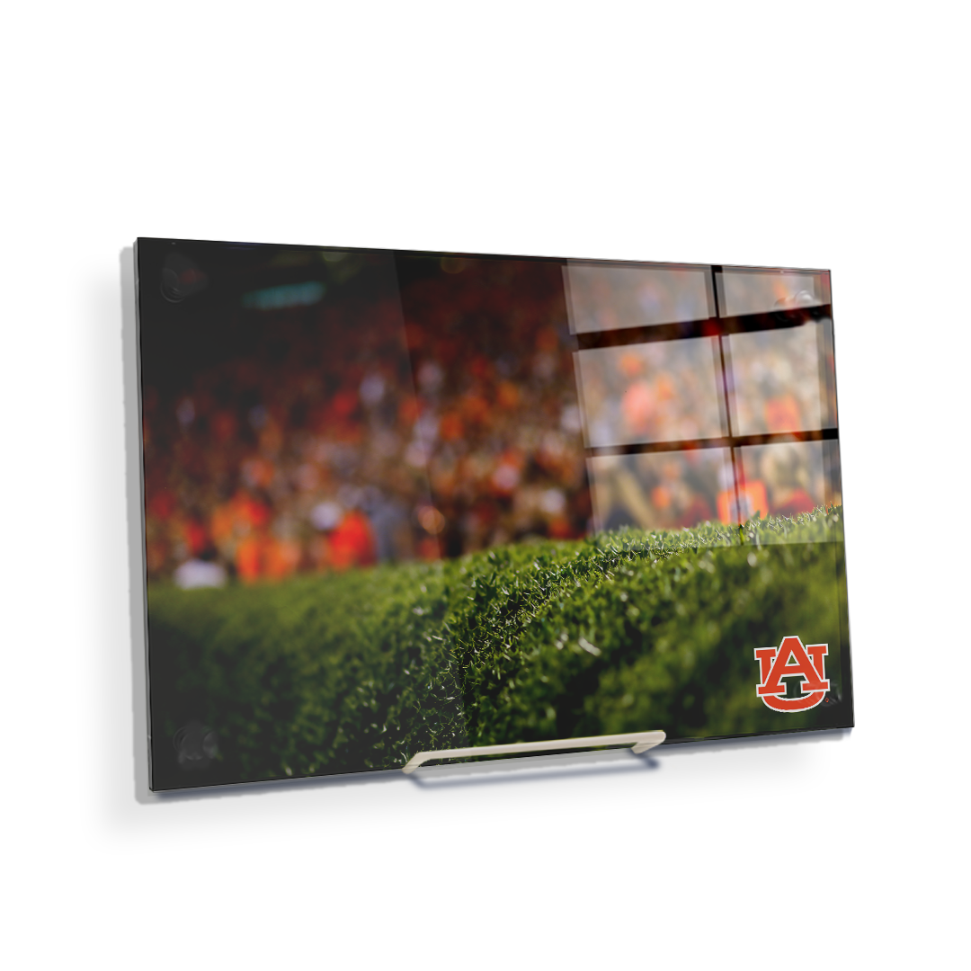Auburn Tigers - The Hedges - College Wall Art#Canvas