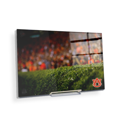 Auburn Tigers - The Hedges - College Wall Art#Acrylic Mini