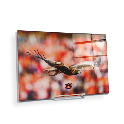 Auburn Tigers - War Eagle Flight - College Wall Art#Acrylic Mini