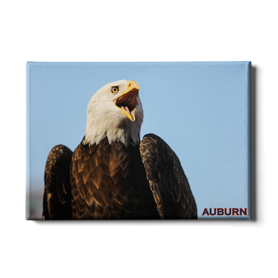 Auburn Tigers - War Eagle - College Wall Art#Canvas