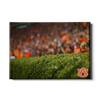 Auburn Tigers - The Hedges - College Wall Art#Canvas