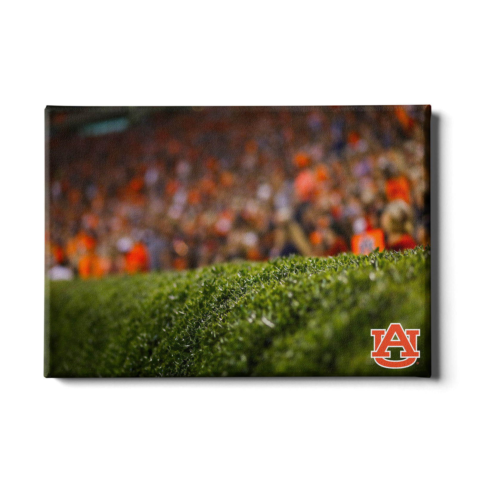 Auburn Tigers - The Hedges - College Wall Art#Canvas