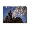 Auburn Tigers - Samford Toomers - College Wall Art#Canvas