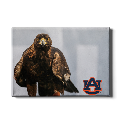 Auburn Tigers - War Eagle - College Wall Art#Canvas