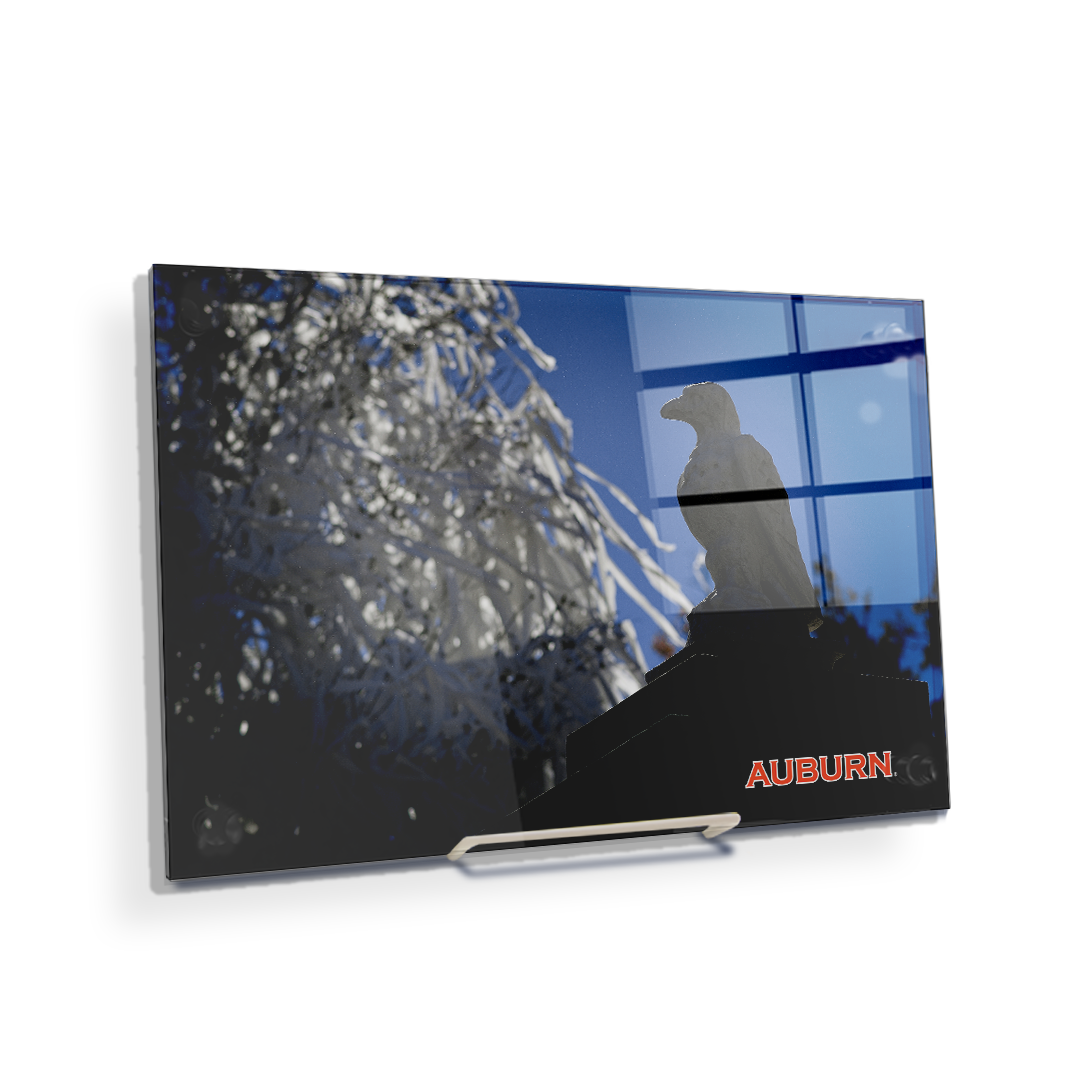 Auburn Tigers - Watchful Eye Toomers - College Wall Art#Canvas