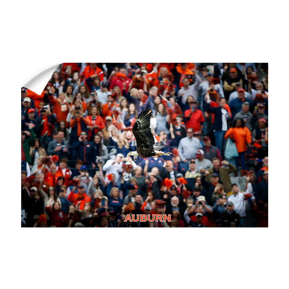 Auburn Tigers - War Eagle Soars - College Wall Art#Canvas