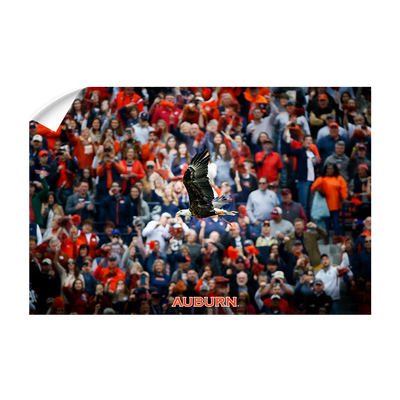 Auburn Tigers - War Eagle Soars - College Wall Art#Wall Decal