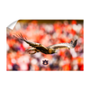 Auburn Tigers - War Eagle Flight - College Wall Art#Wall Decal