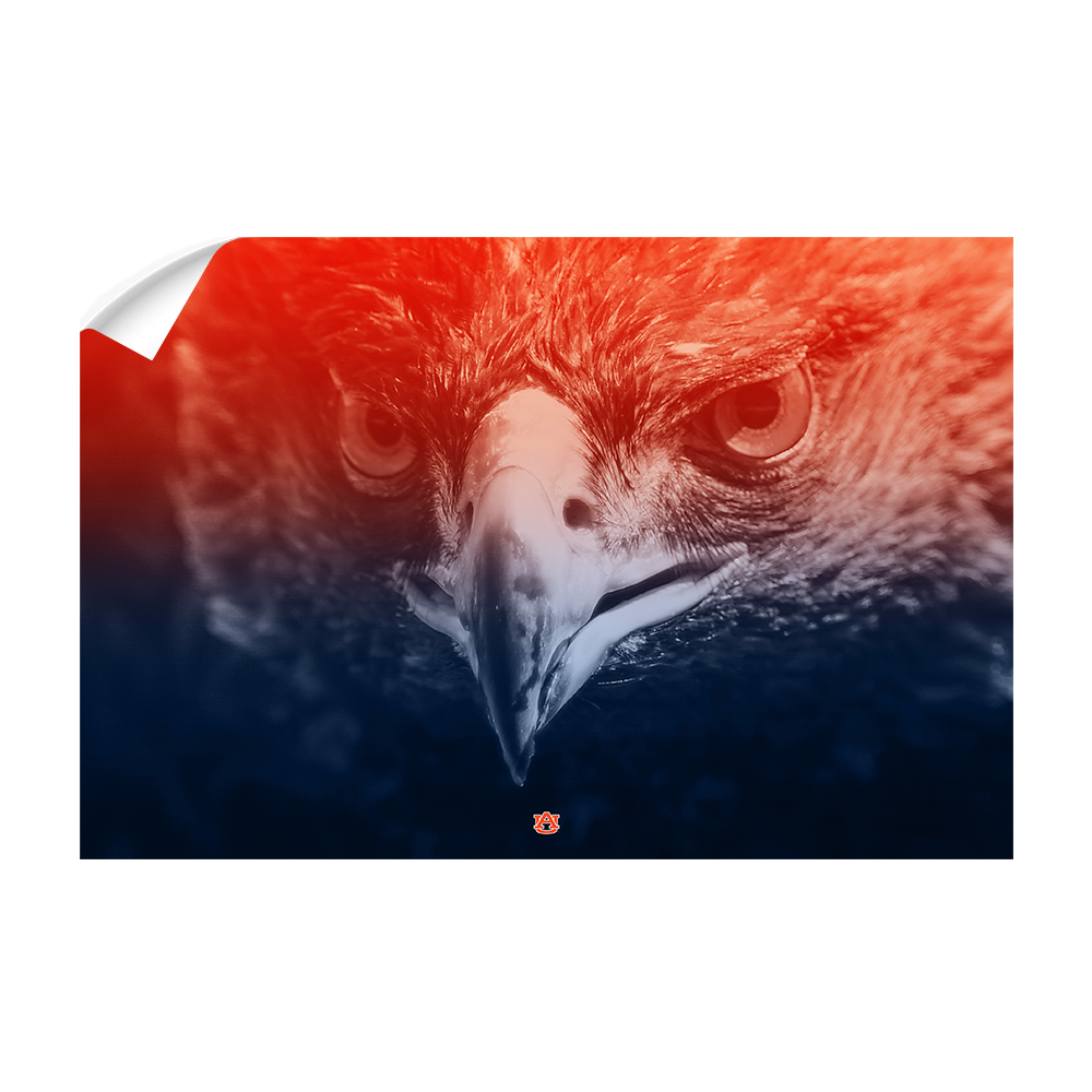 Auburn Tigers - Greetings War Eagle - College Wall Art#Canvas