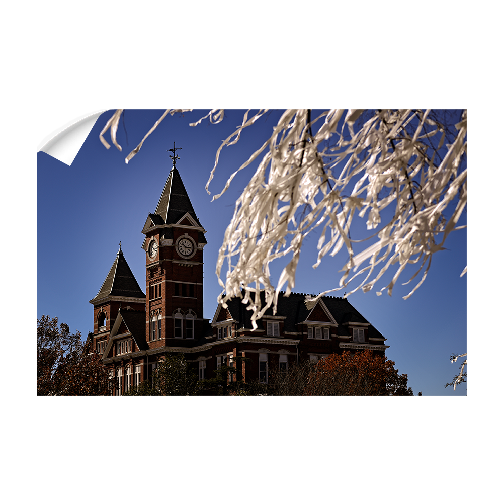 Auburn Tigers - Samford Toomers - College Wall Art#Canvas