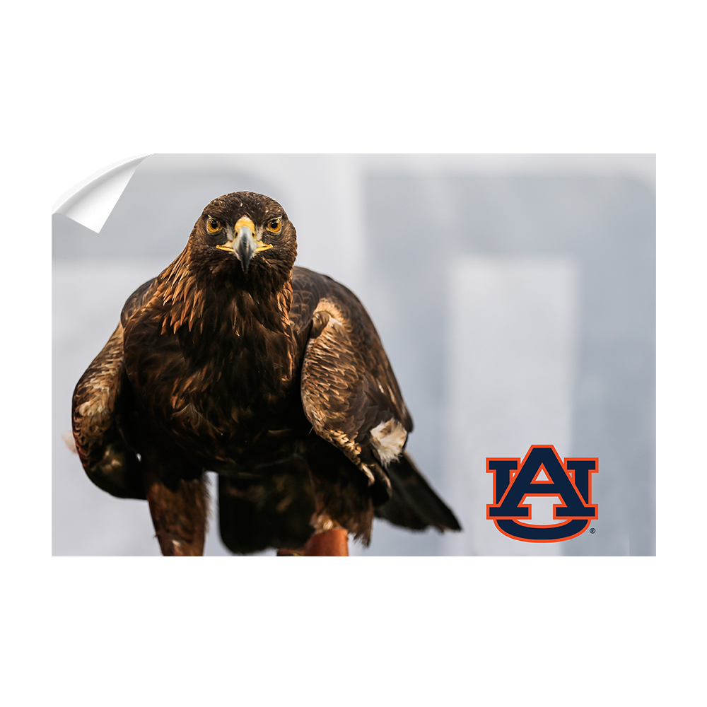 Auburn Tigers - War Eagle - College Wall Art#Canvas