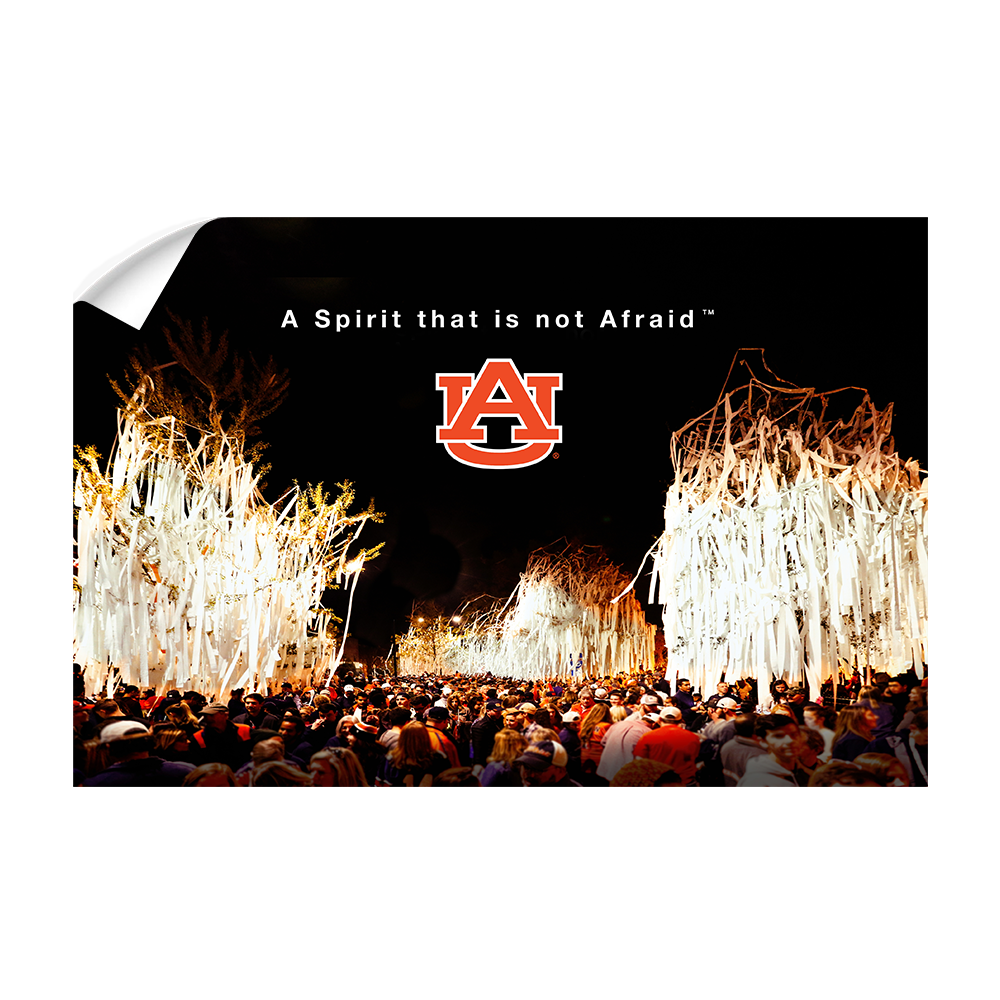 Auburn Tigers - A Spirit That Is Not Afraid - College Wall Art#Canvas