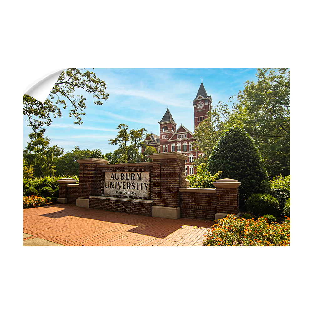Auburn Tigers - Auburn University - College Wall Art #Canvas