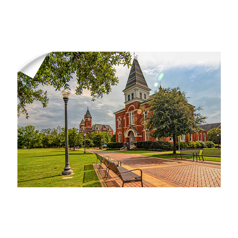 Auburn Tigers - Old School HDR - College Wall Art #Canvas