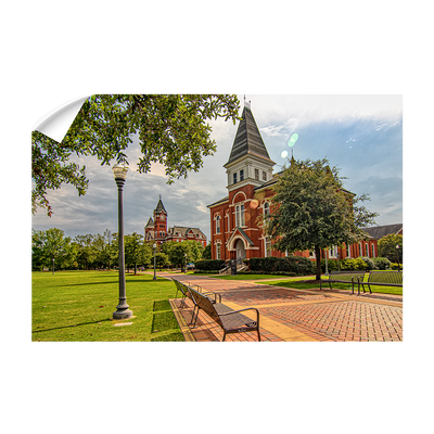 Auburn Tigers - Old School HDR - College Wall Art #Wall Decal