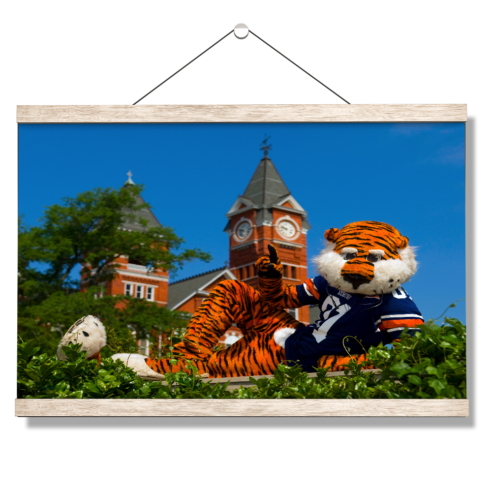 Auburn Tigers - Aubie - College Wall Art#Canvas