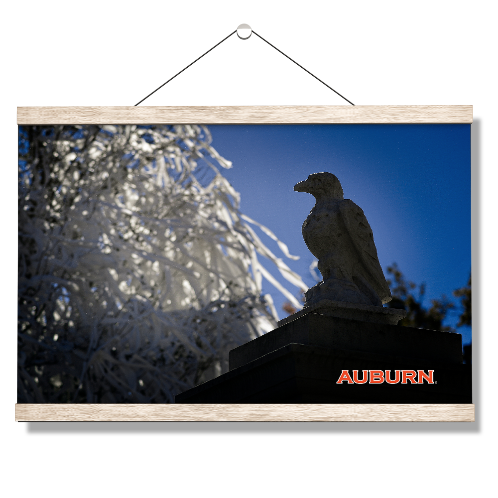 Auburn Tigers - Watchful Eye Toomers - College Wall Art#Canvas