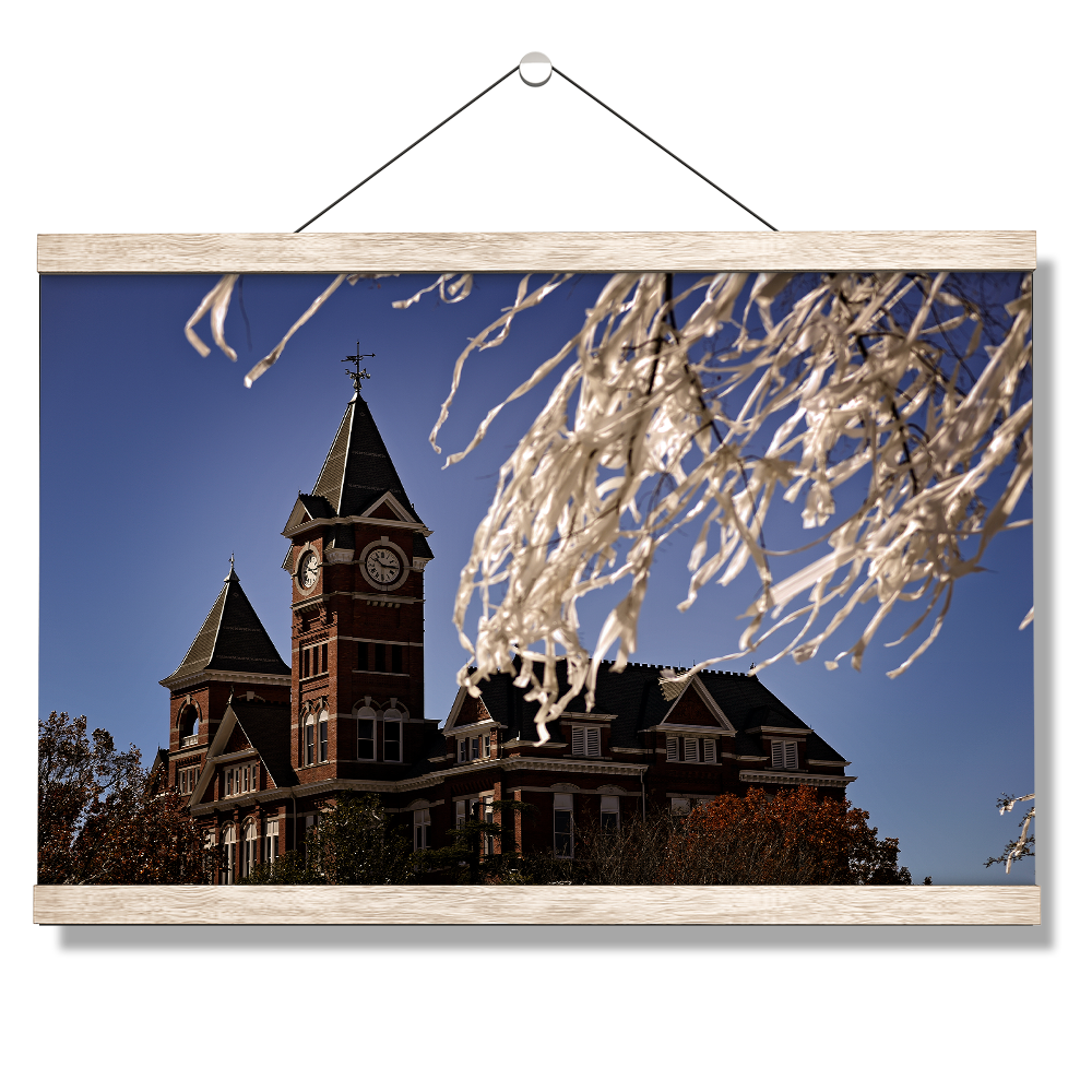 Auburn Tigers - Samford Toomers - College Wall Art#Canvas
