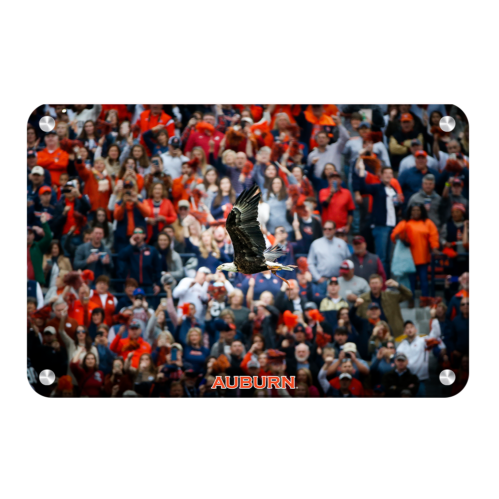 Auburn Tigers - War Eagle Soars - College Wall Art#Canvas