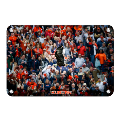 Auburn Tigers - War Eagle Soars - College Wall Art#Metal