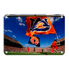 Auburn Tigers - Cheer Flags - College Wall Art#Metal