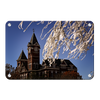 Auburn Tigers - Samford Toomers - College Wall Art#Metal