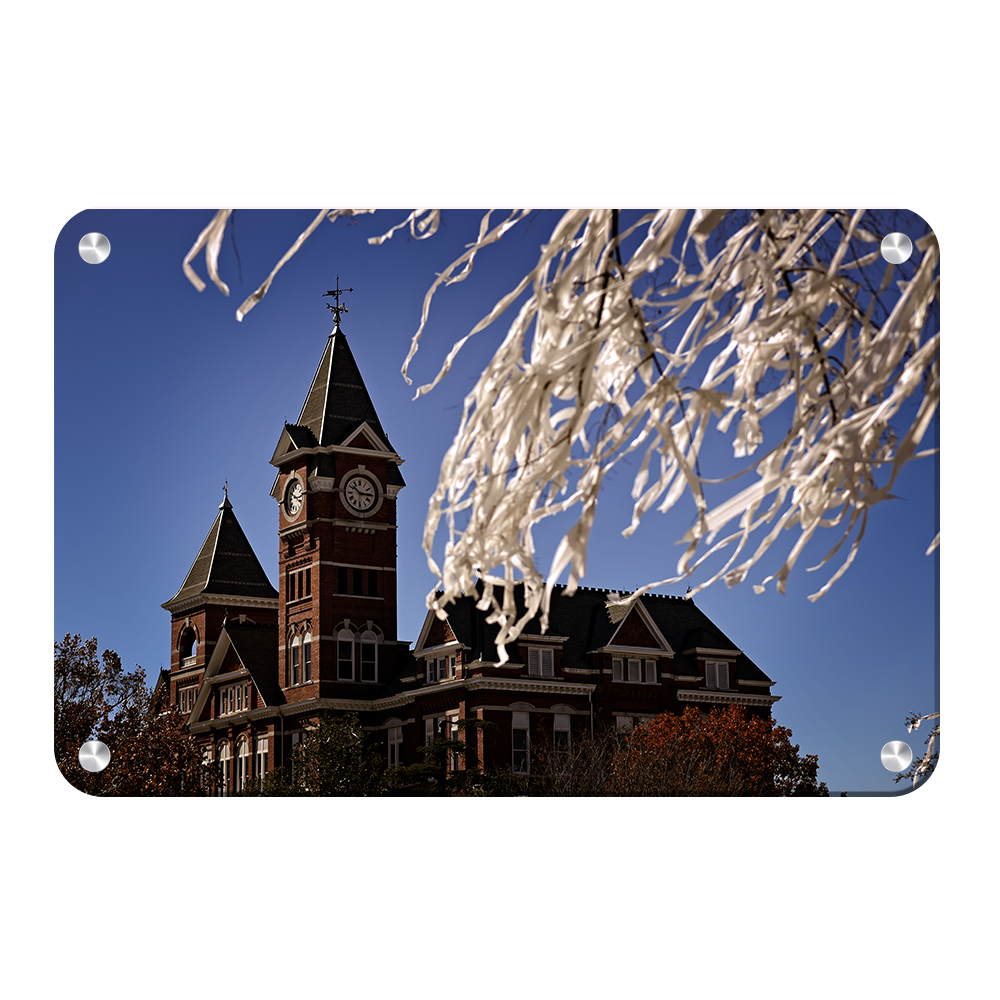 Auburn Tigers - Samford Toomers - College Wall Art#Canvas