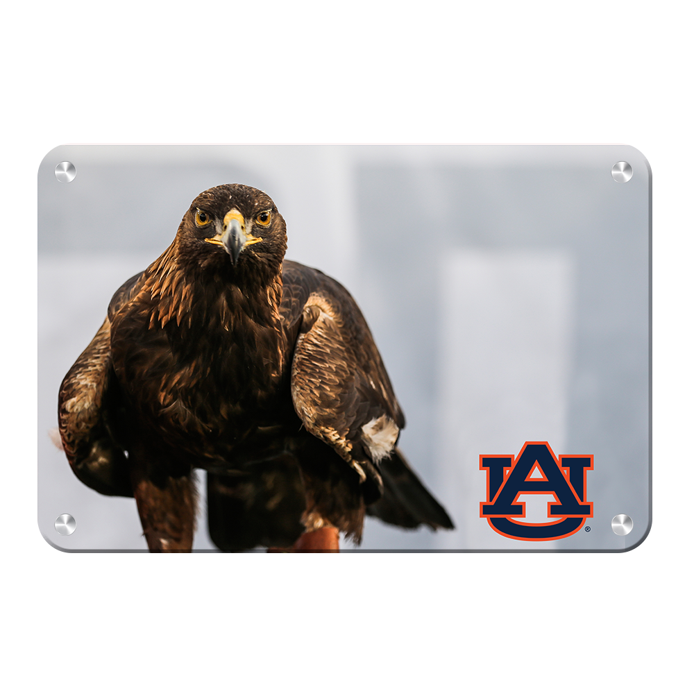 Auburn Tigers - War Eagle - College Wall Art#Canvas