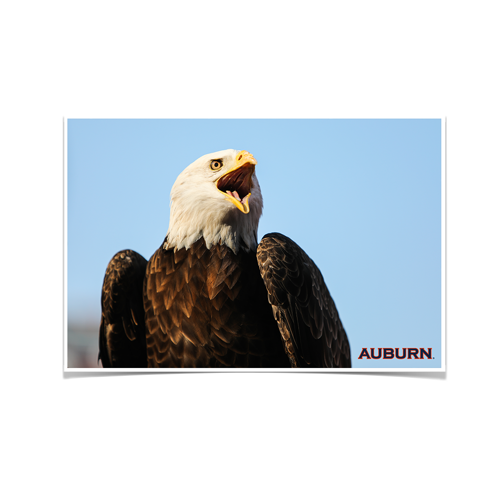 Auburn Tigers - War Eagle - College Wall Art#Canvas