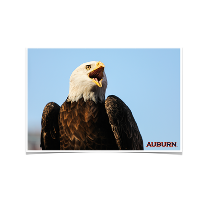 Auburn Tigers - War Eagle - College Wall Art#Poster