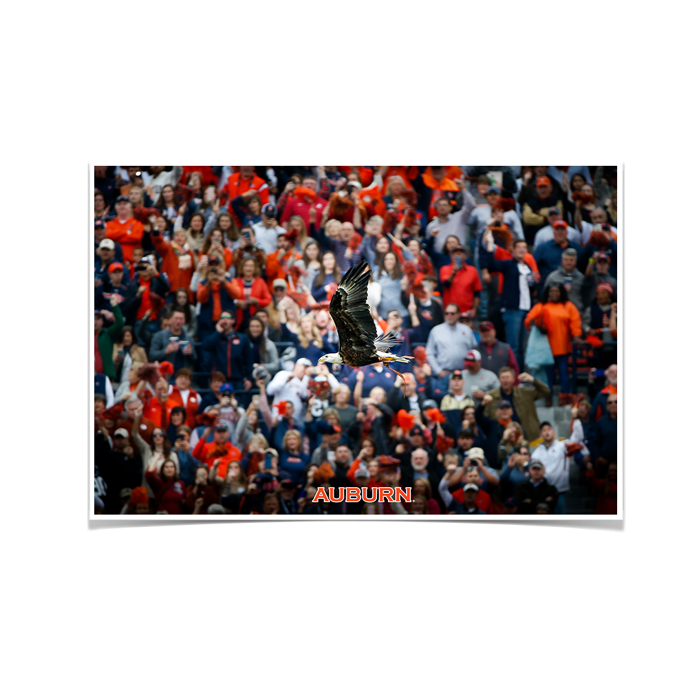 Auburn Tigers - War Eagle Soars - College Wall Art#Canvas