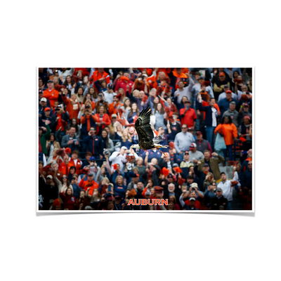 Auburn Tigers - War Eagle Soars - College Wall Art#Poster