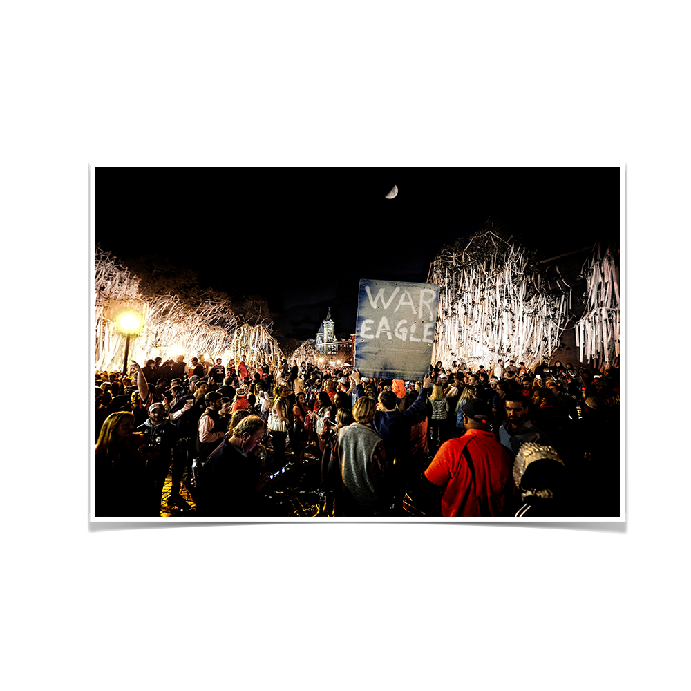 Auburn Tigers - War Eagle TP - College Wall Art#Canvas