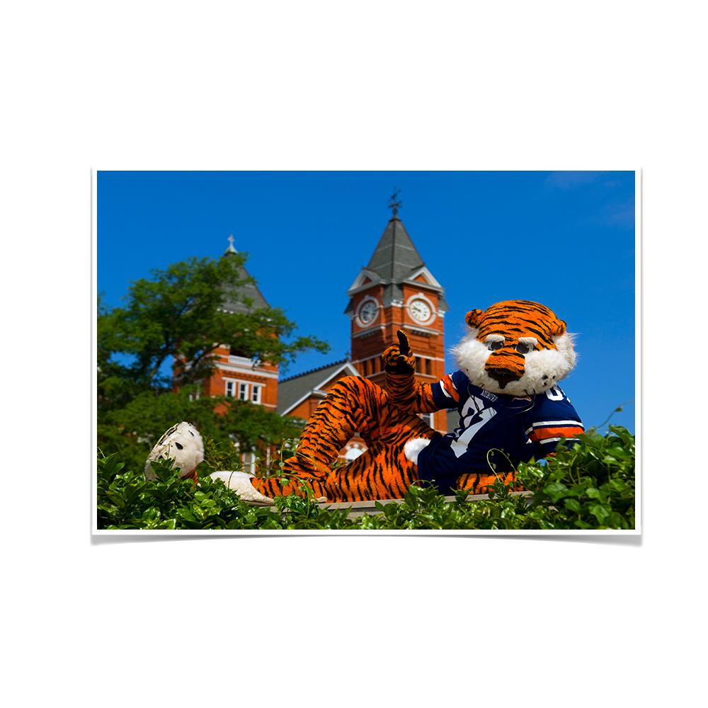 Auburn Tigers - Aubie - College Wall Art#Canvas