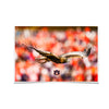 Auburn Tigers - War Eagle Flight - College Wall Art#Poster