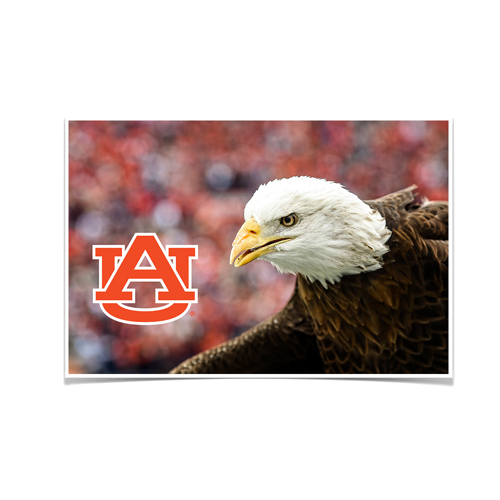 Auburn Tigers - War Eagle Up Close - College Wall Art#Canvas