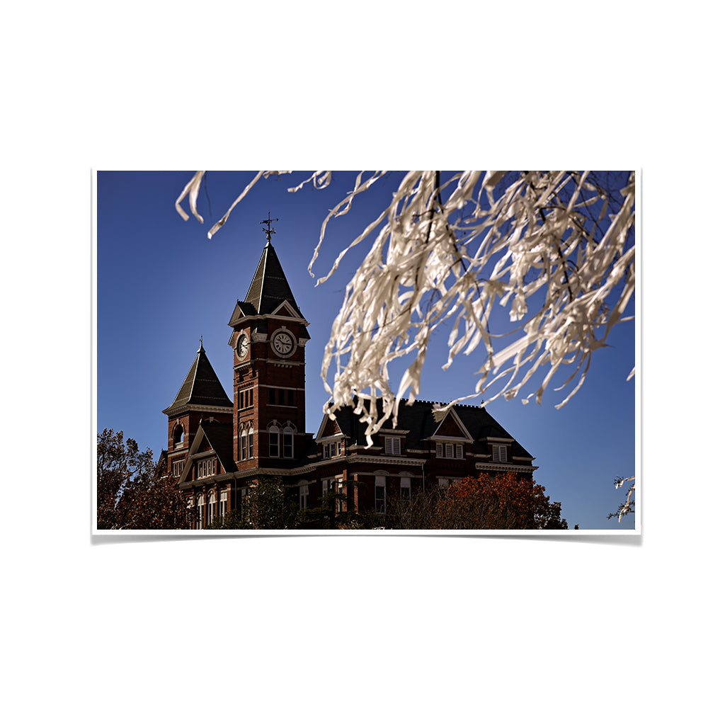 Auburn Tigers - Samford Toomers - College Wall Art#Canvas