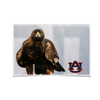 Auburn Tigers - War Eagle - College Wall Art#Poster