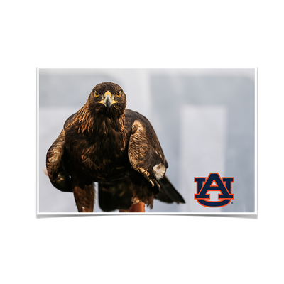 Auburn Tigers - War Eagle - College Wall Art#Poster