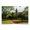 Auburn Tigers - The Walk to Samford - College Wall Art #Poster