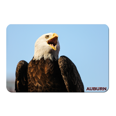 Auburn Tigers - War Eagle - College Wall Art#PVC