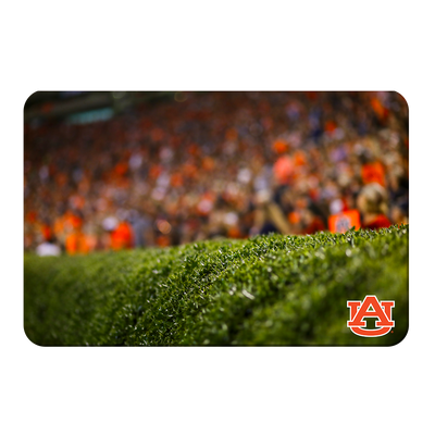 Auburn Tigers - The Hedges - College Wall Art#PVC