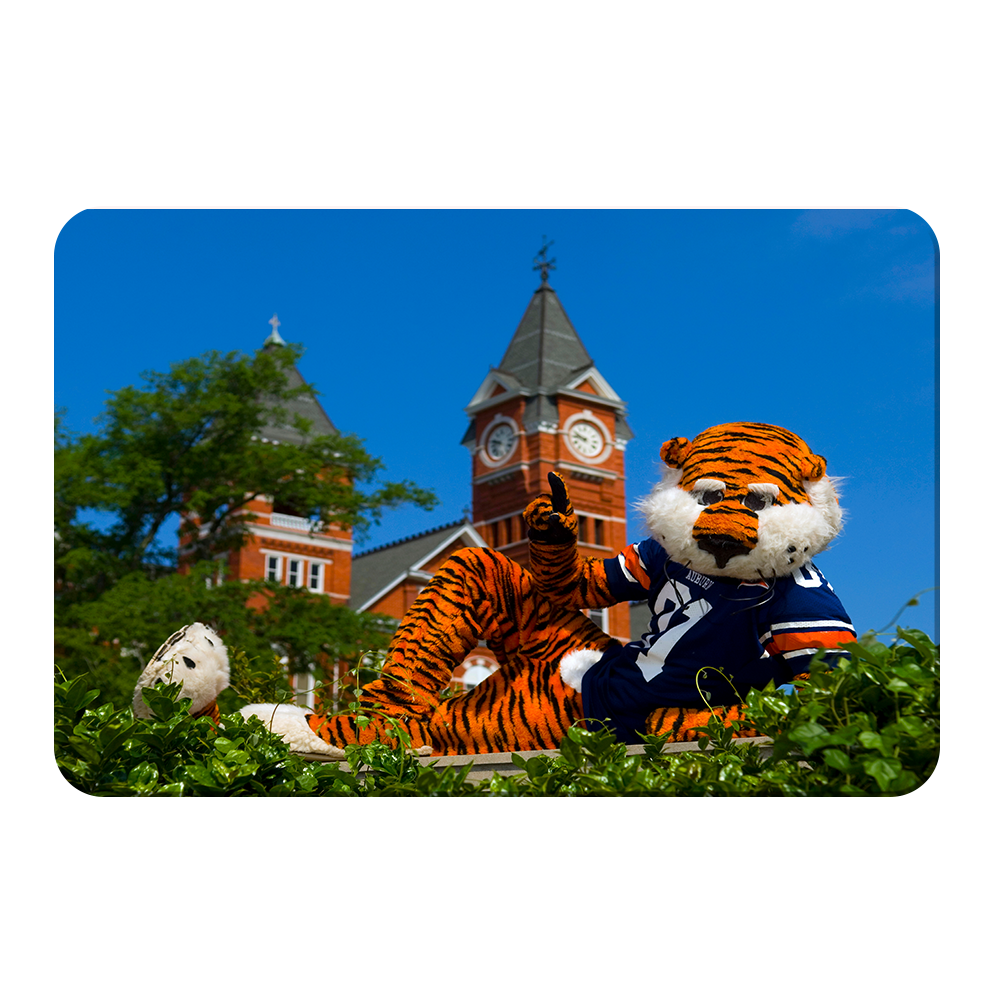 Auburn Tigers - Aubie - College Wall Art#Canvas