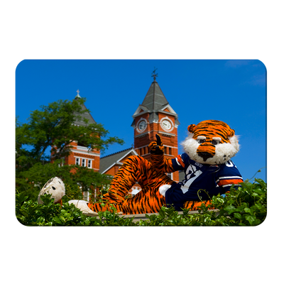 Auburn Tigers - Aubie - College Wall Art#PVC