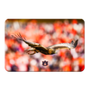 Auburn Tigers - War Eagle Flight - College Wall Art#PVC